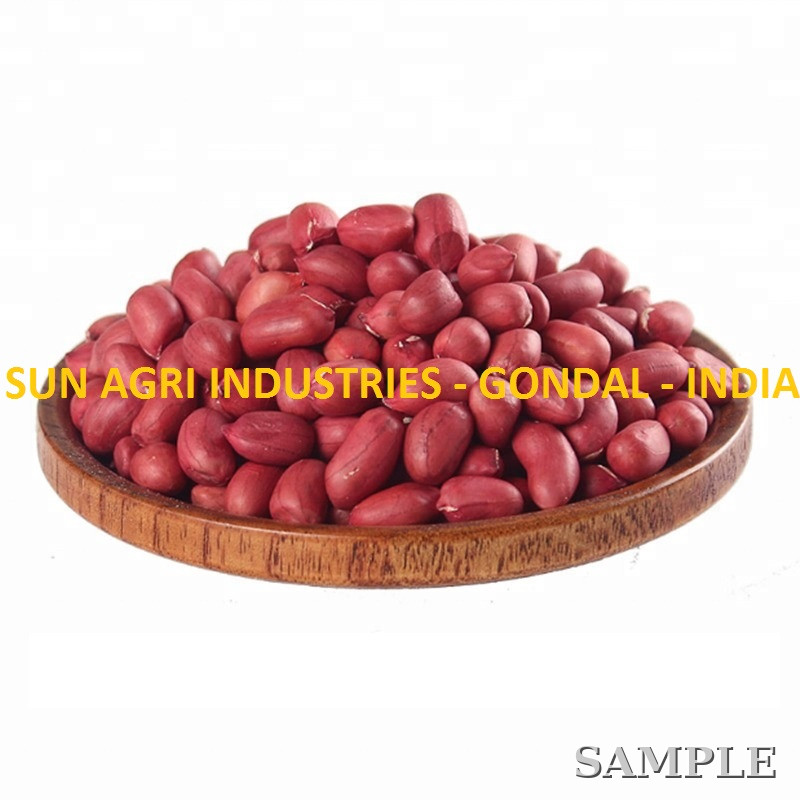 Groundnut