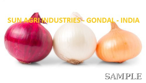 Onion